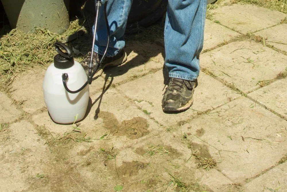 worker spraying weed killer on a customer&rsquo;s patio