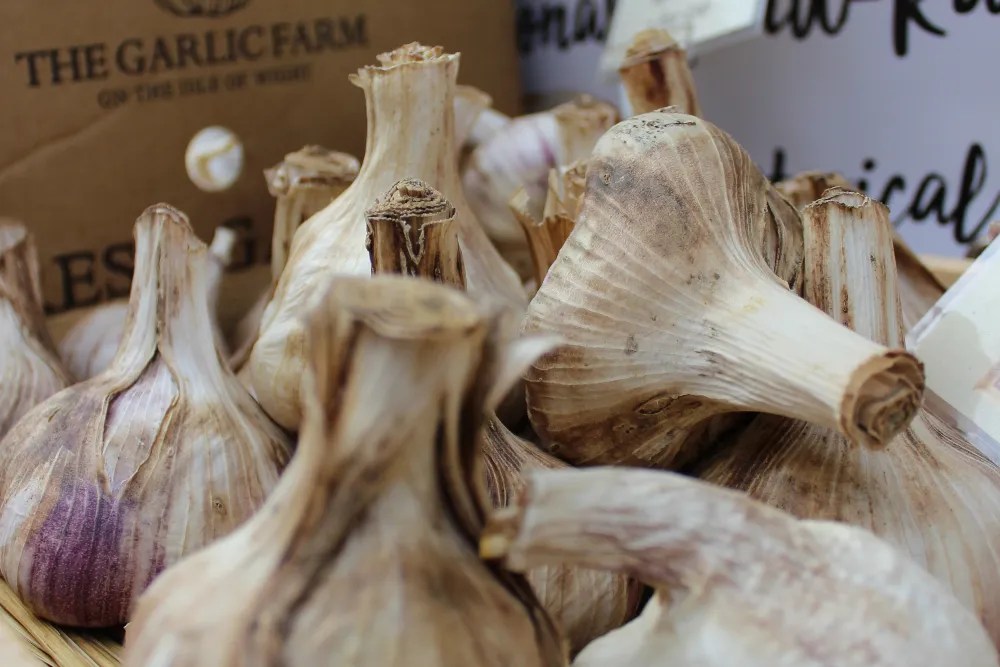 Garlic to add to neem oil