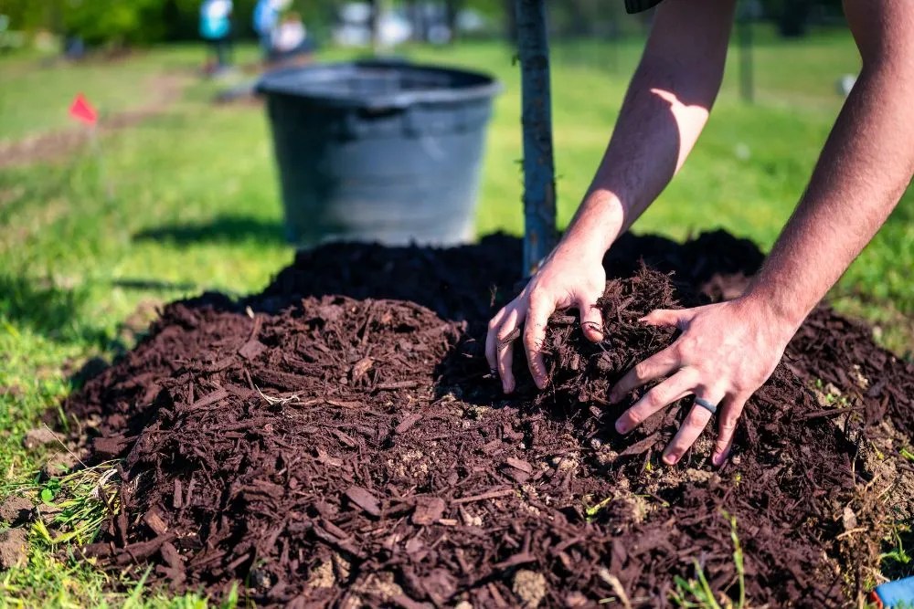 Hands on mulch