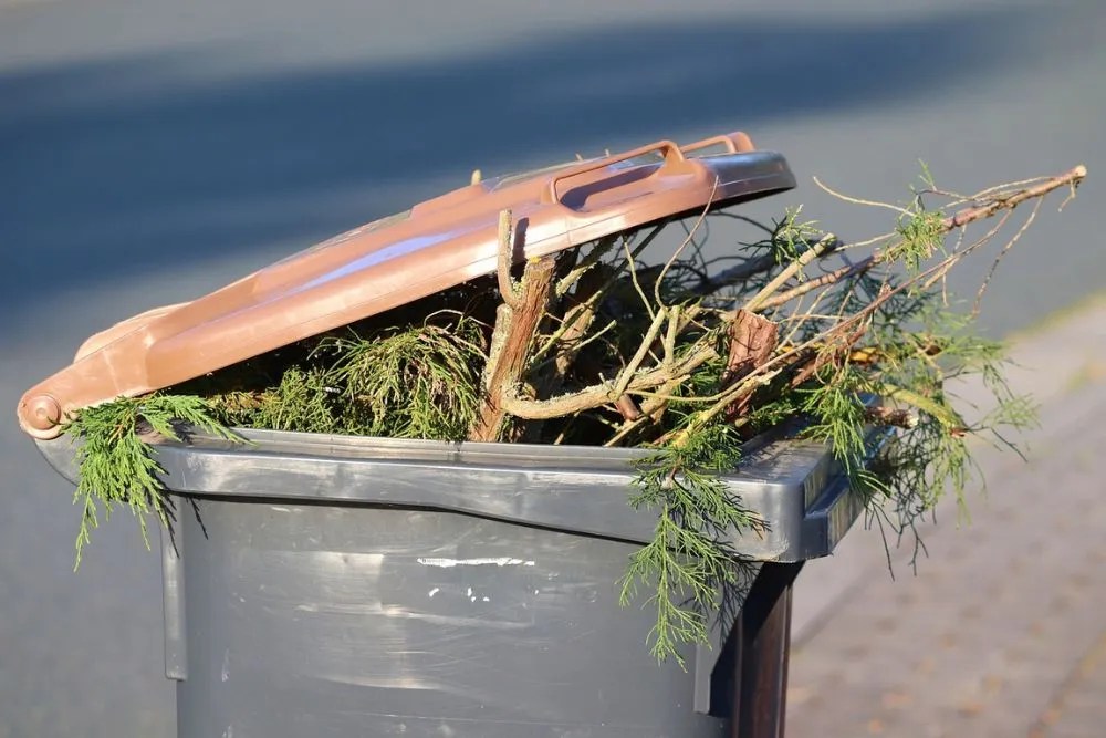 Tree branches in trash