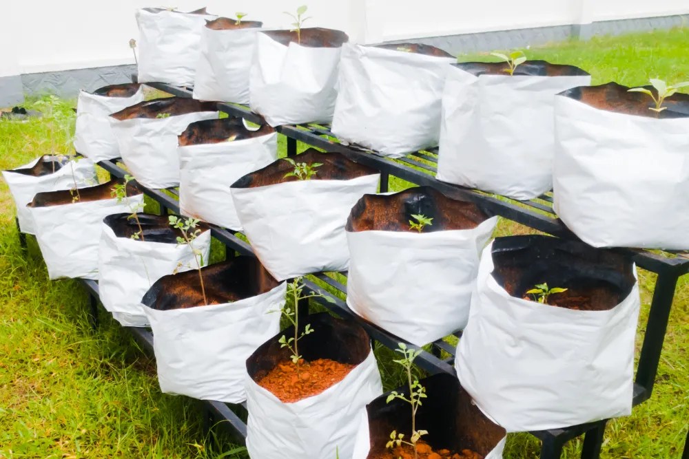 grow bags in a garden