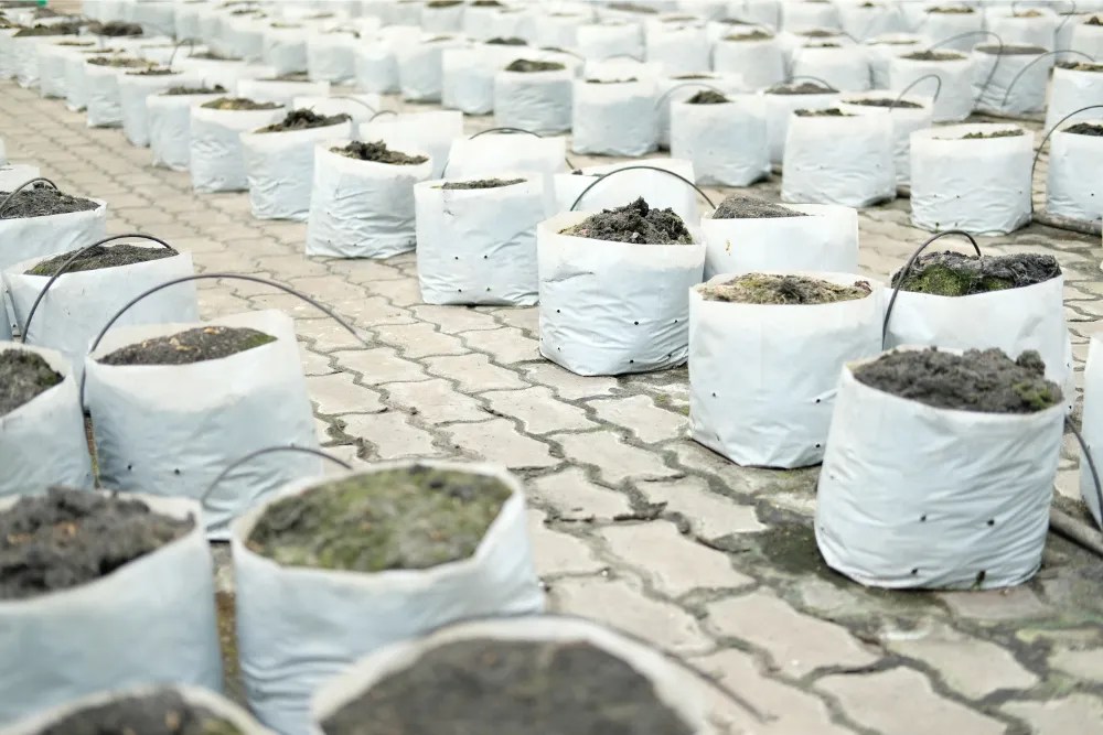 fertilizer in grow bags