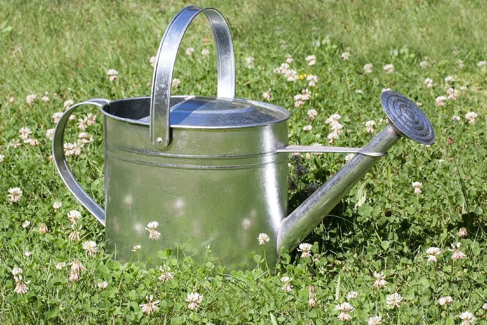Watering can in garden