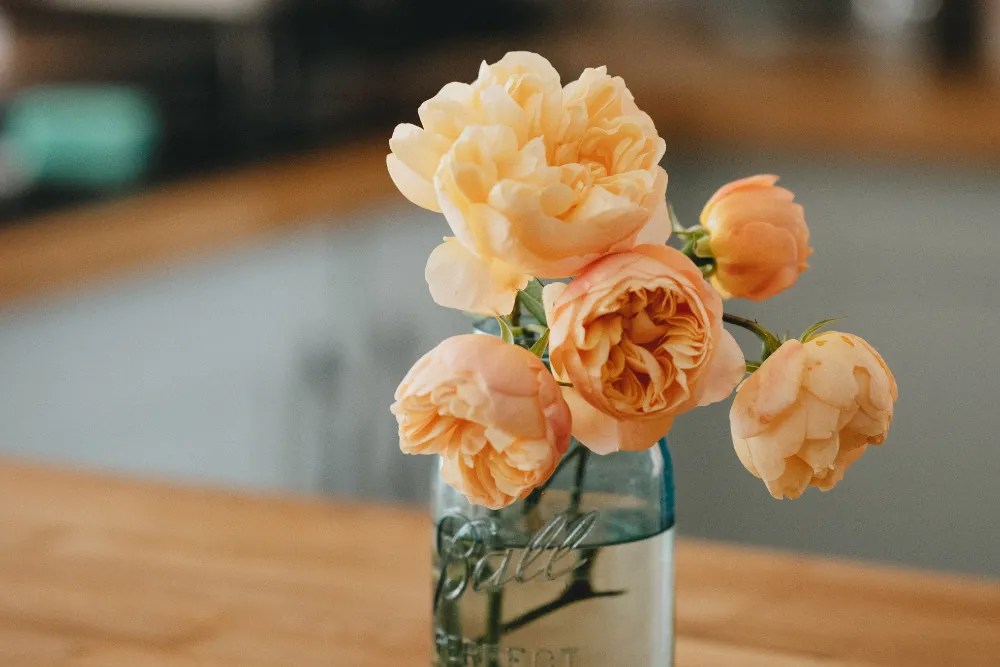 Flower arrangement in glass vase.