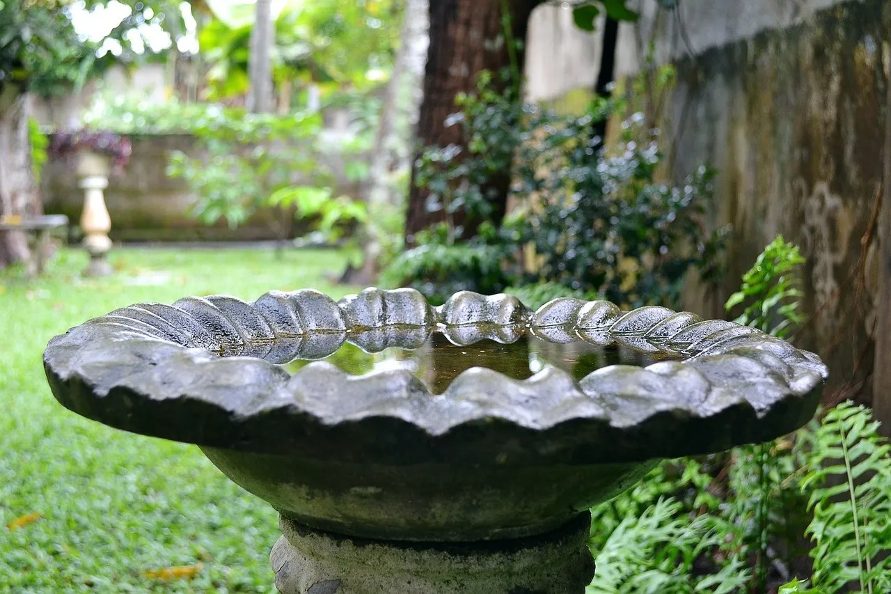 Bird bath