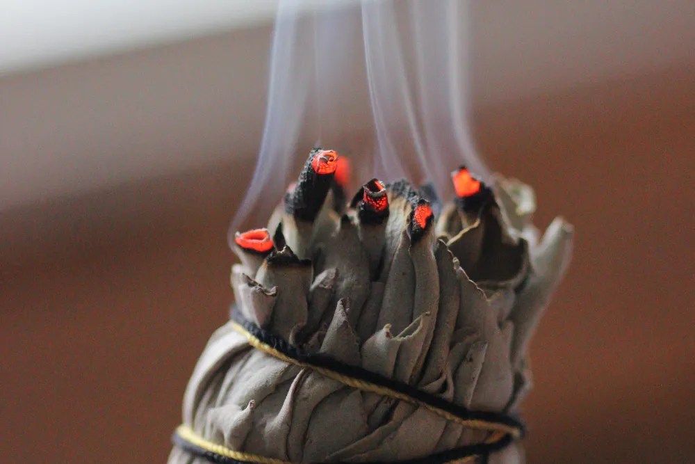 Sage being burned by smudging