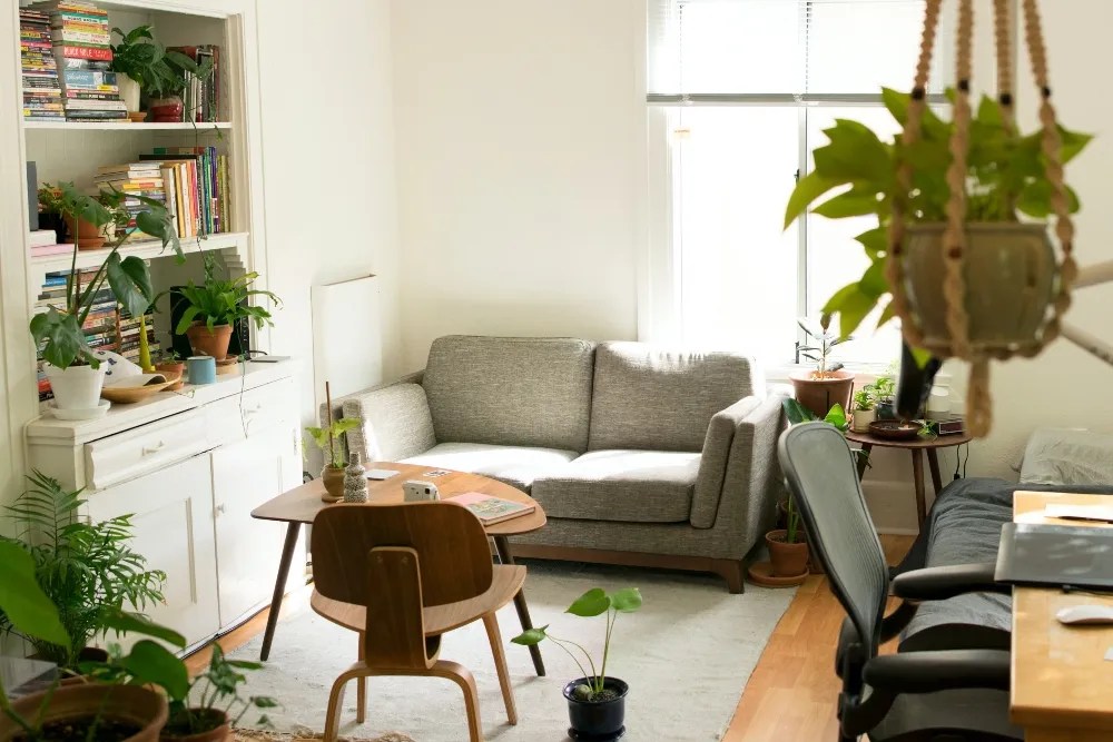 Sunny room filled with houseplants