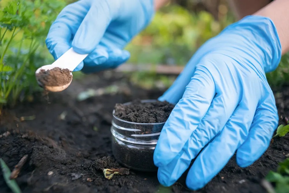 Person taking a Soil test