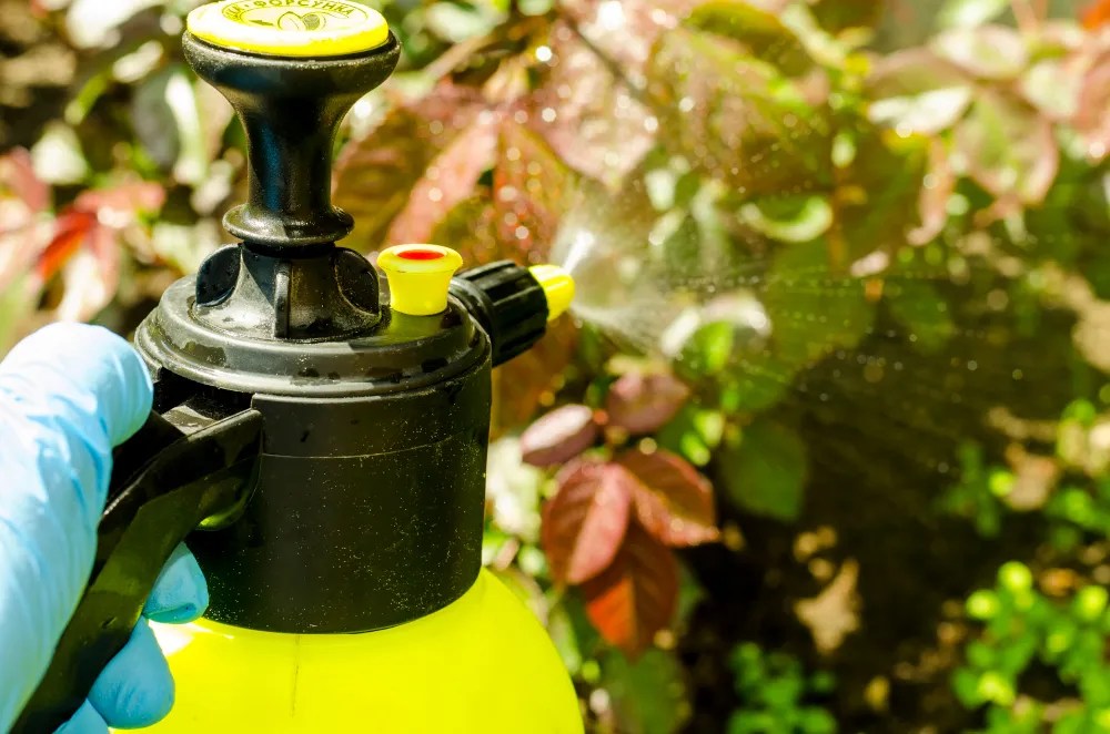Gloved hand spraying plants with yellow sprayer.