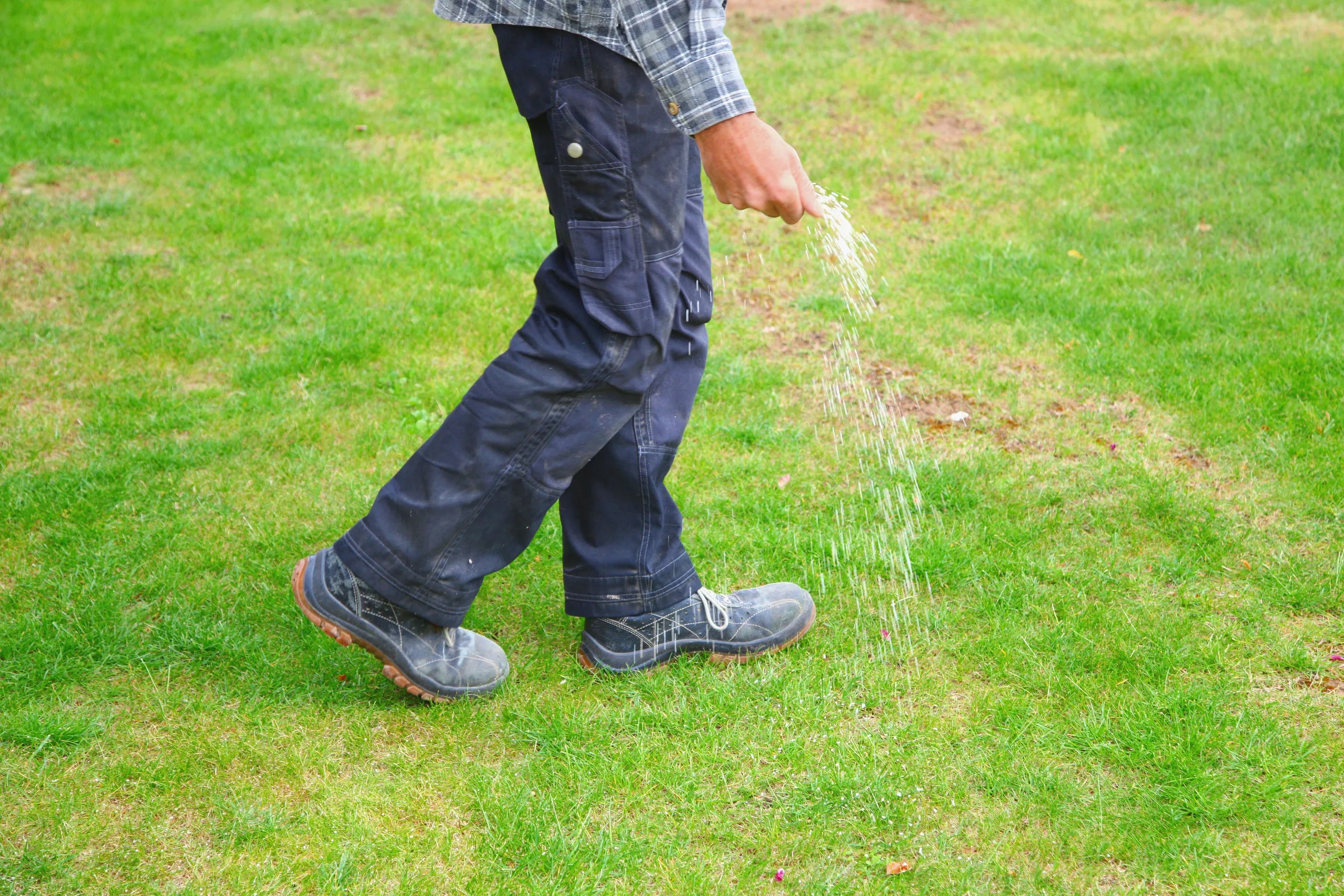 Man walking on lawn spreading fertilizer