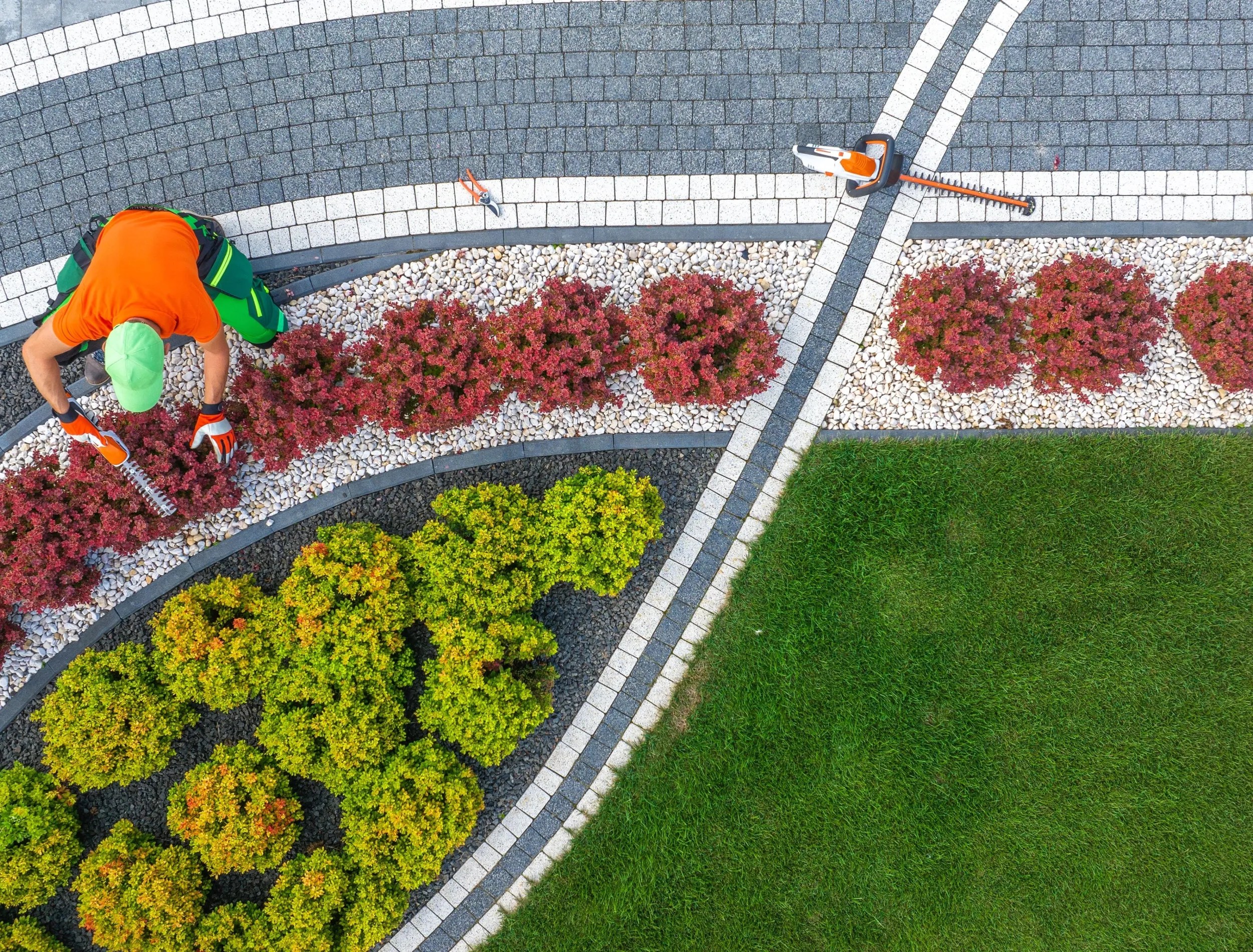 pruningtreesalongdriveway