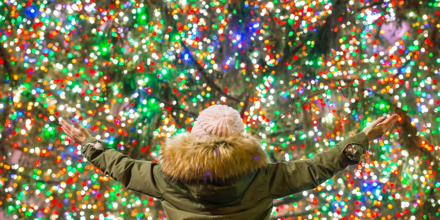 admiring tree wrapped in lights