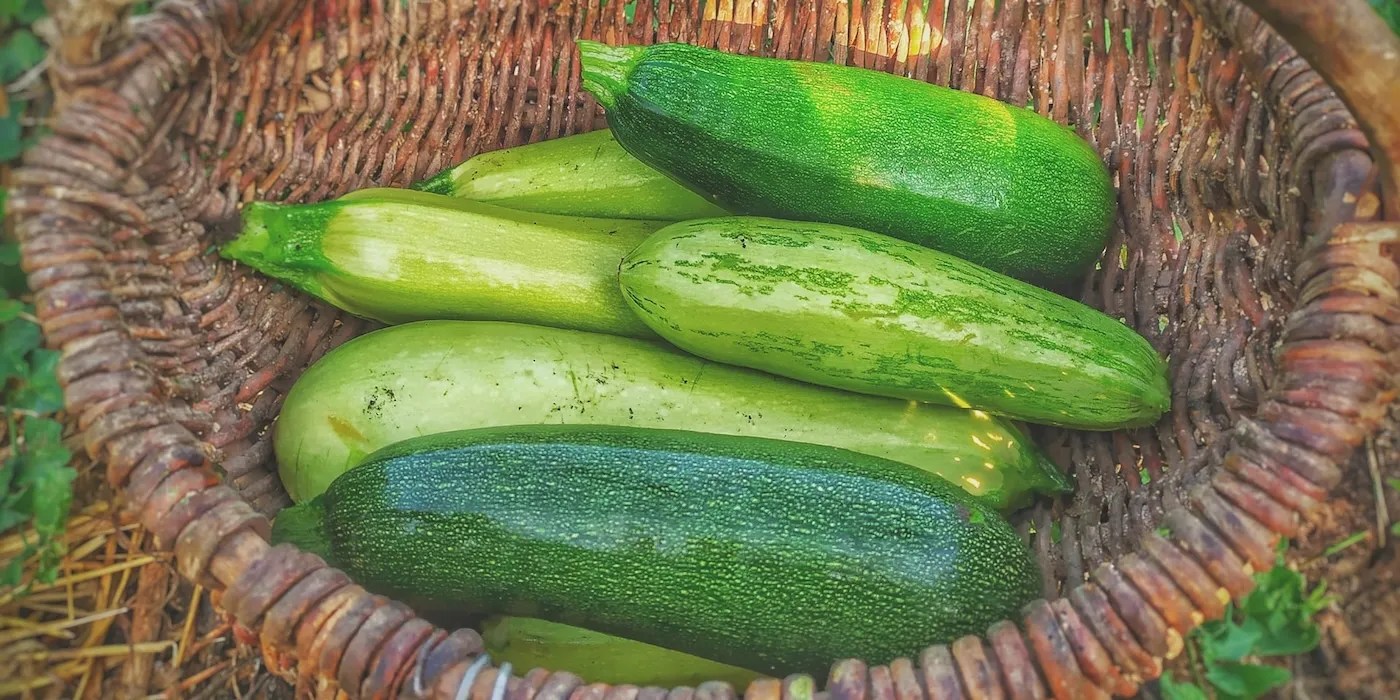 small green zucchinis in basket