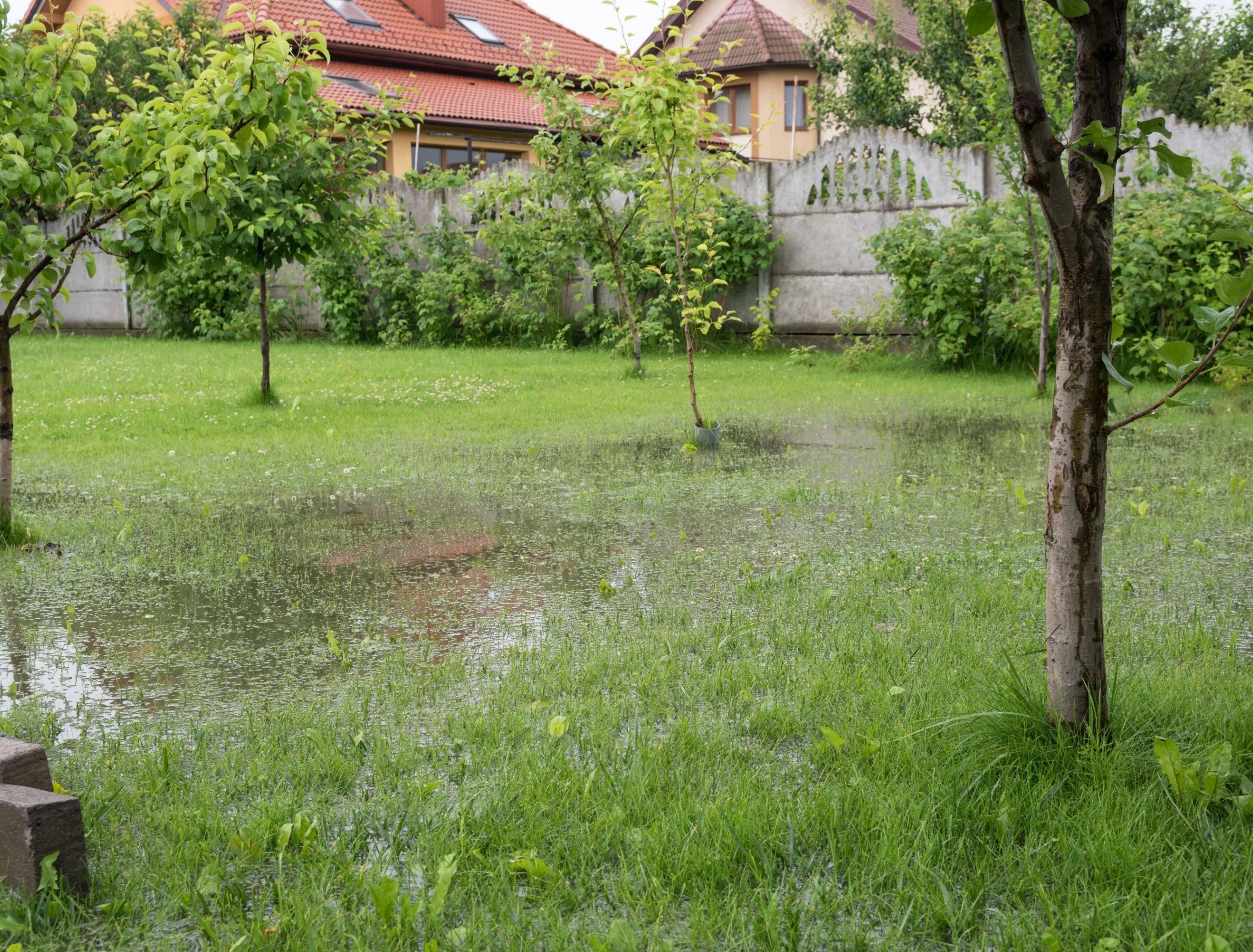 flooded yard