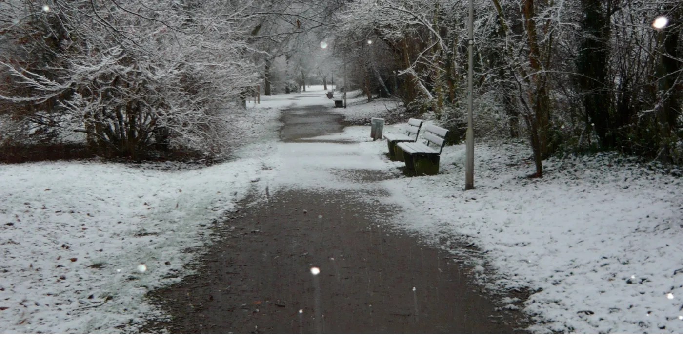 Clear winter path with snow
