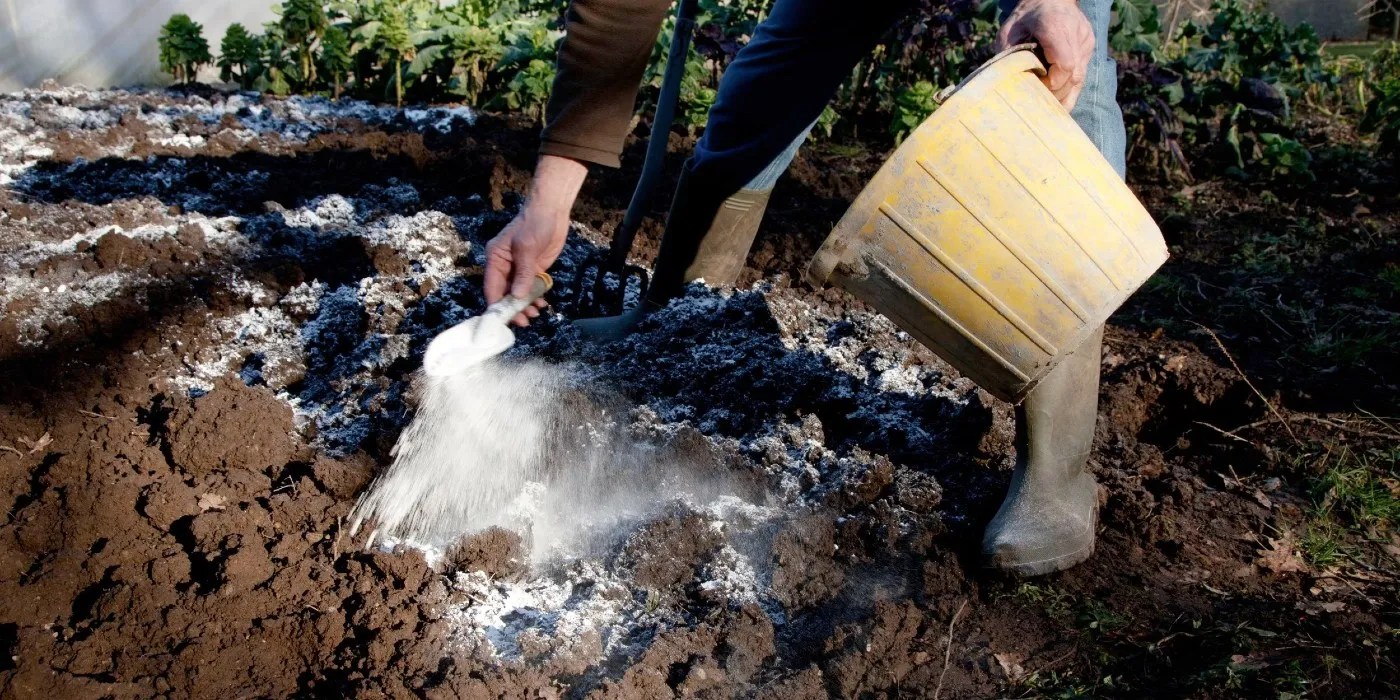 Applying powder to amend the soil