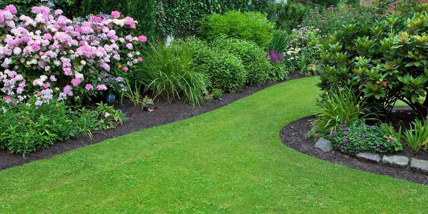 Neatly mowed lawn with defined edges
