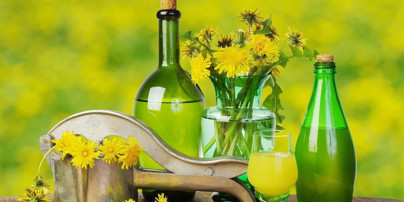 Bottles of dandelion wine and dandelions in vase