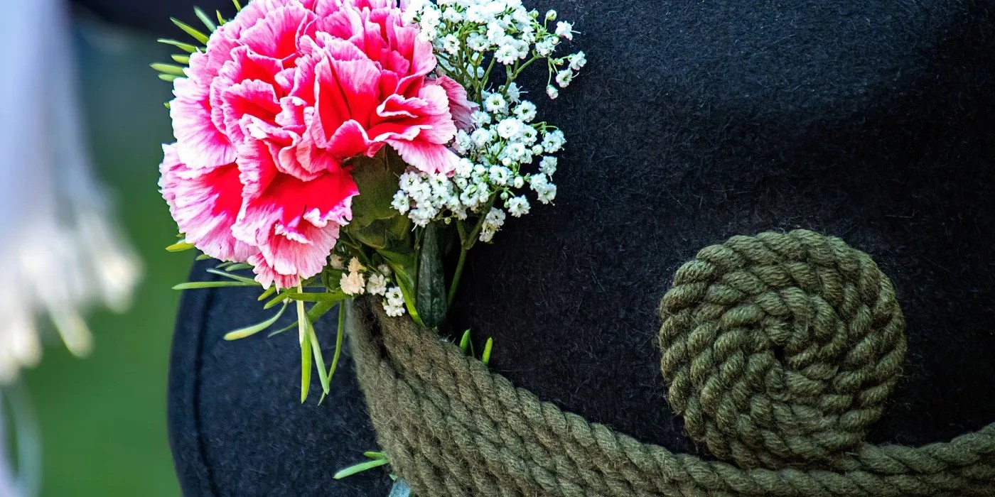 Carnation in a hat