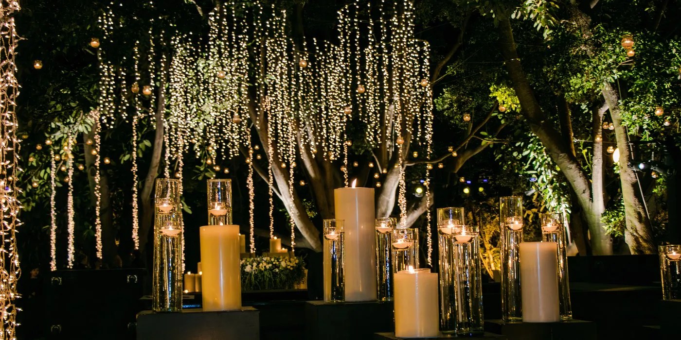 Party lights in trees