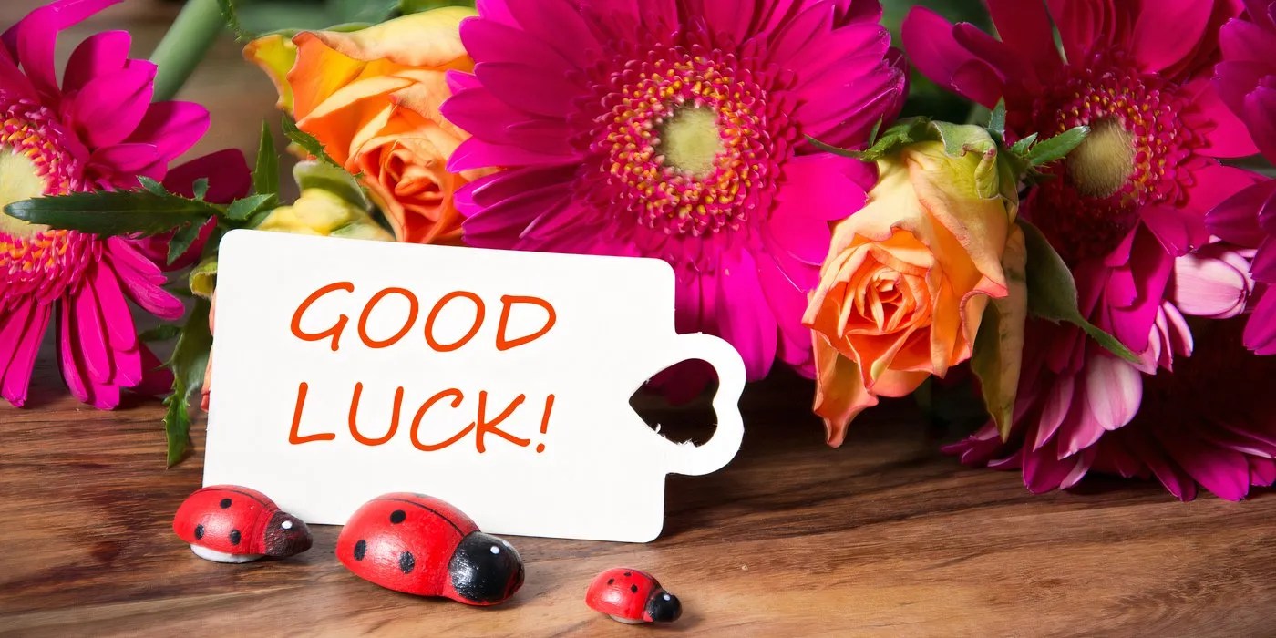 Wooden ladybugs by dahilas