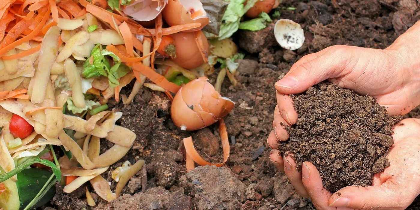 Using compost in the garden