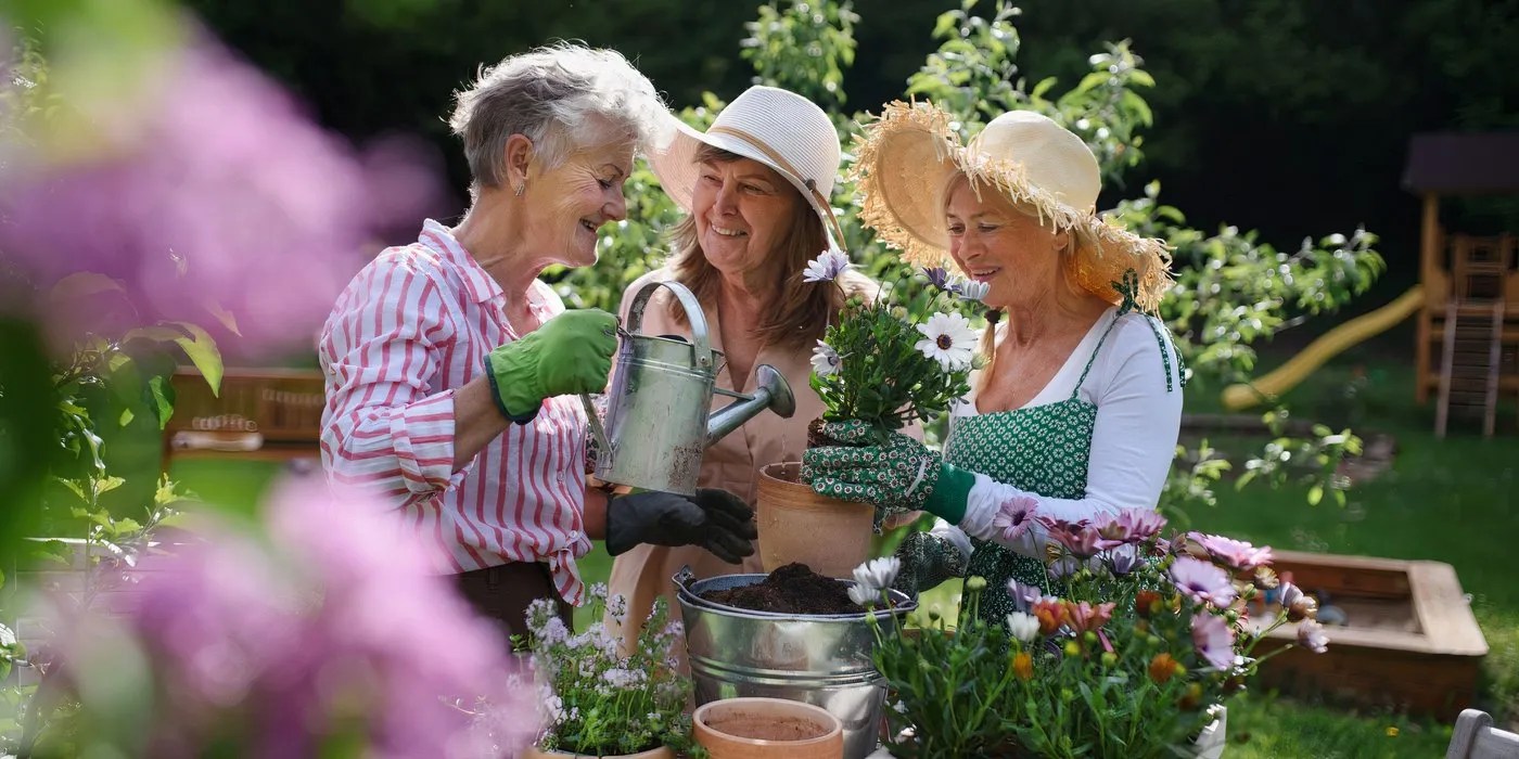 Community garden