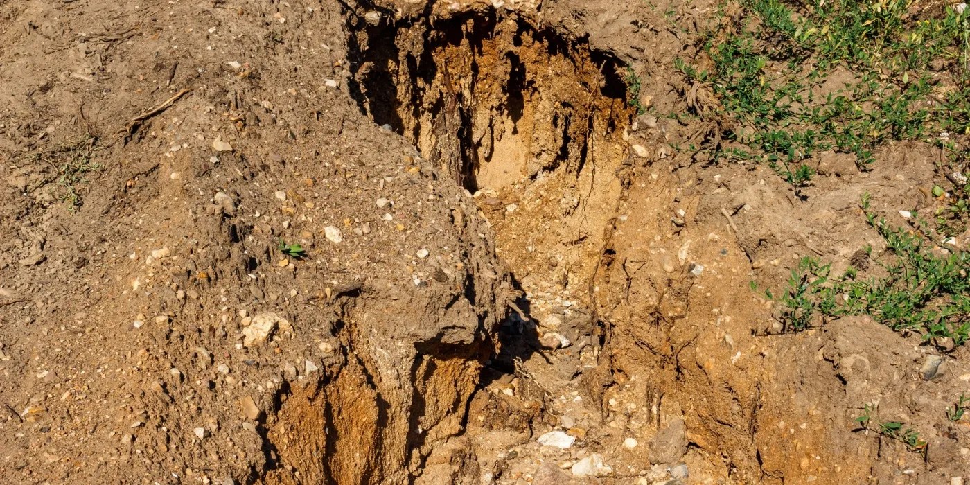 Soil erosion in the garden