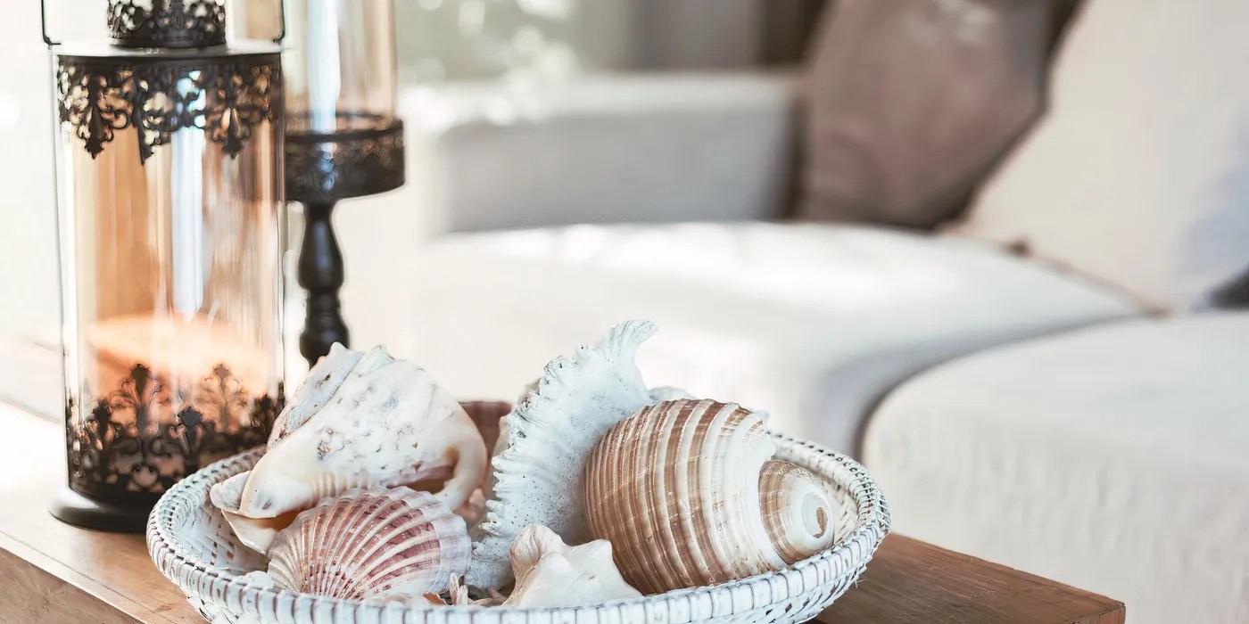 Seashell and lantern decor