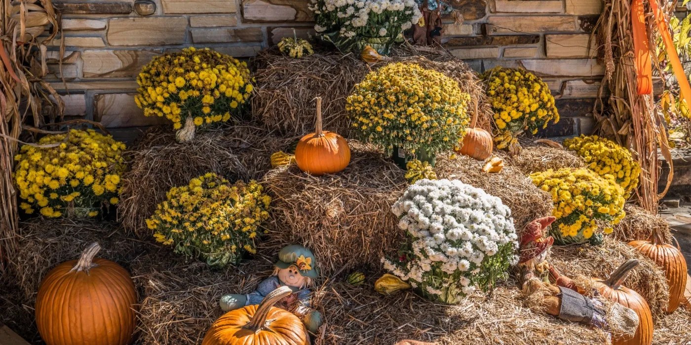 Fall decor setup