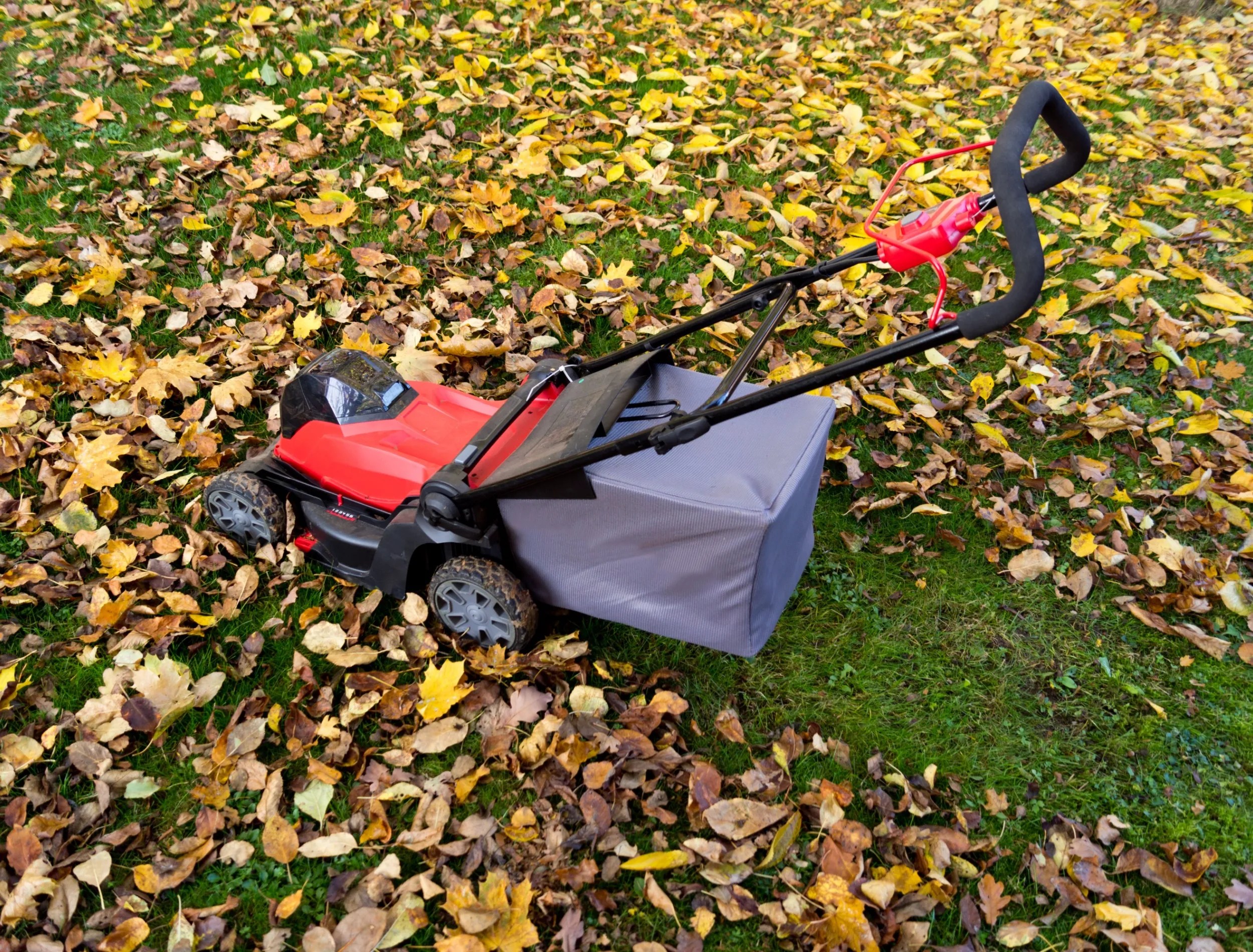 Mow Over Leaves To Create Natural Mulch