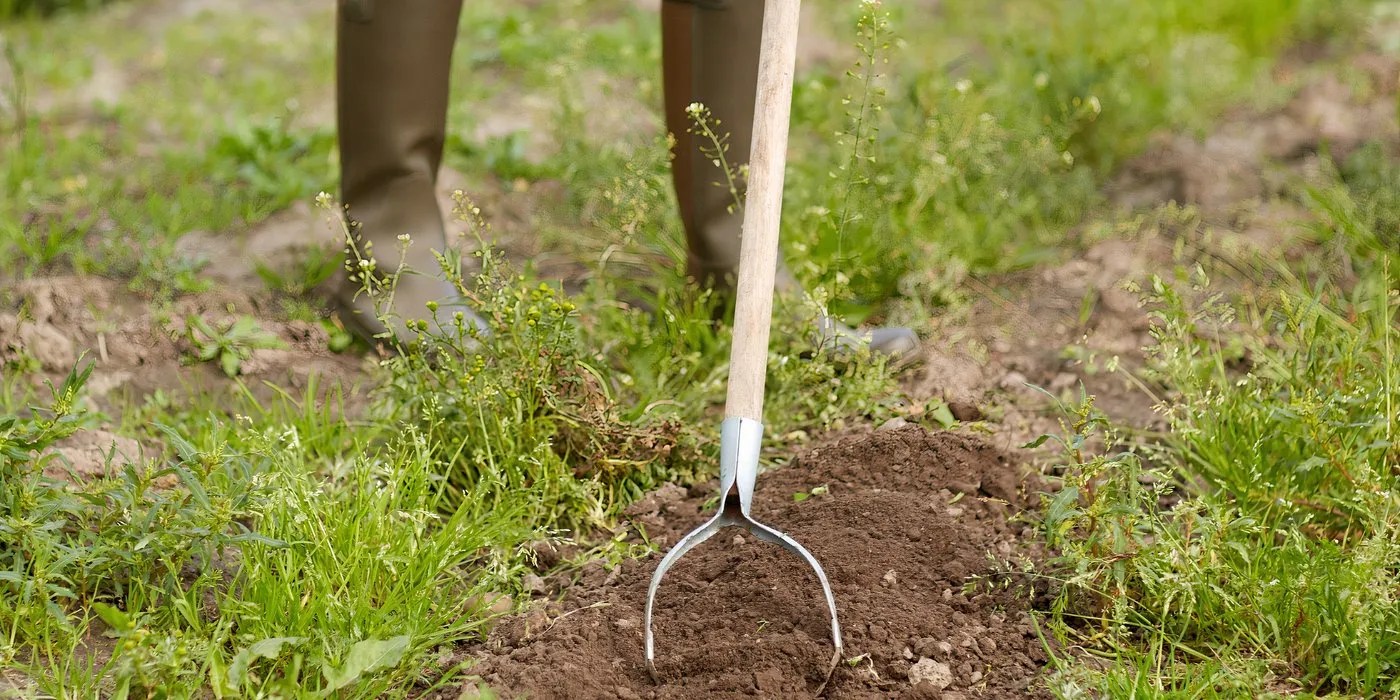 Manual weeder