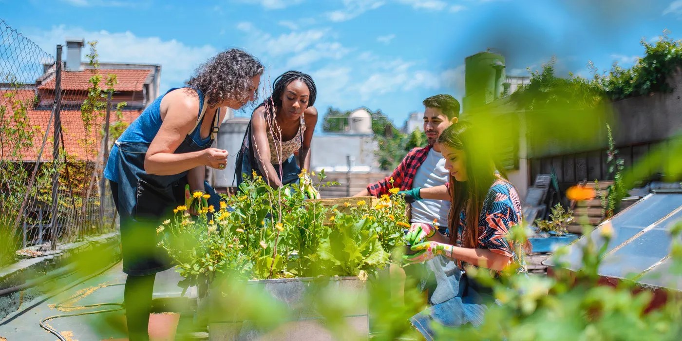 Members working in a community garden