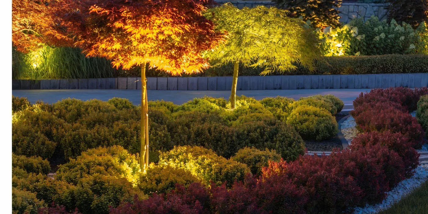 Illuminated shrubs and trees in the yard