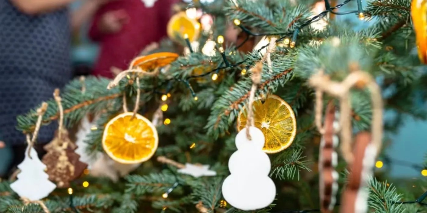 dried orange slices on a tree
