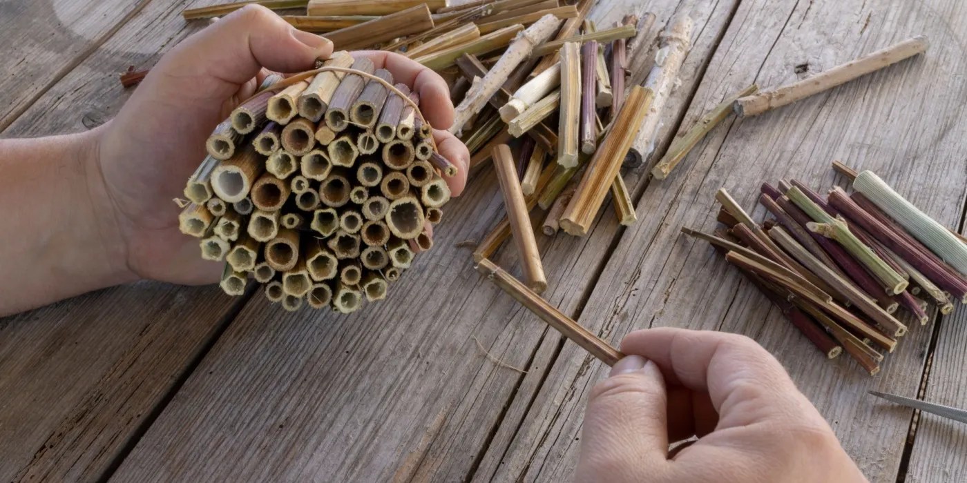 The process of building a bug hotel