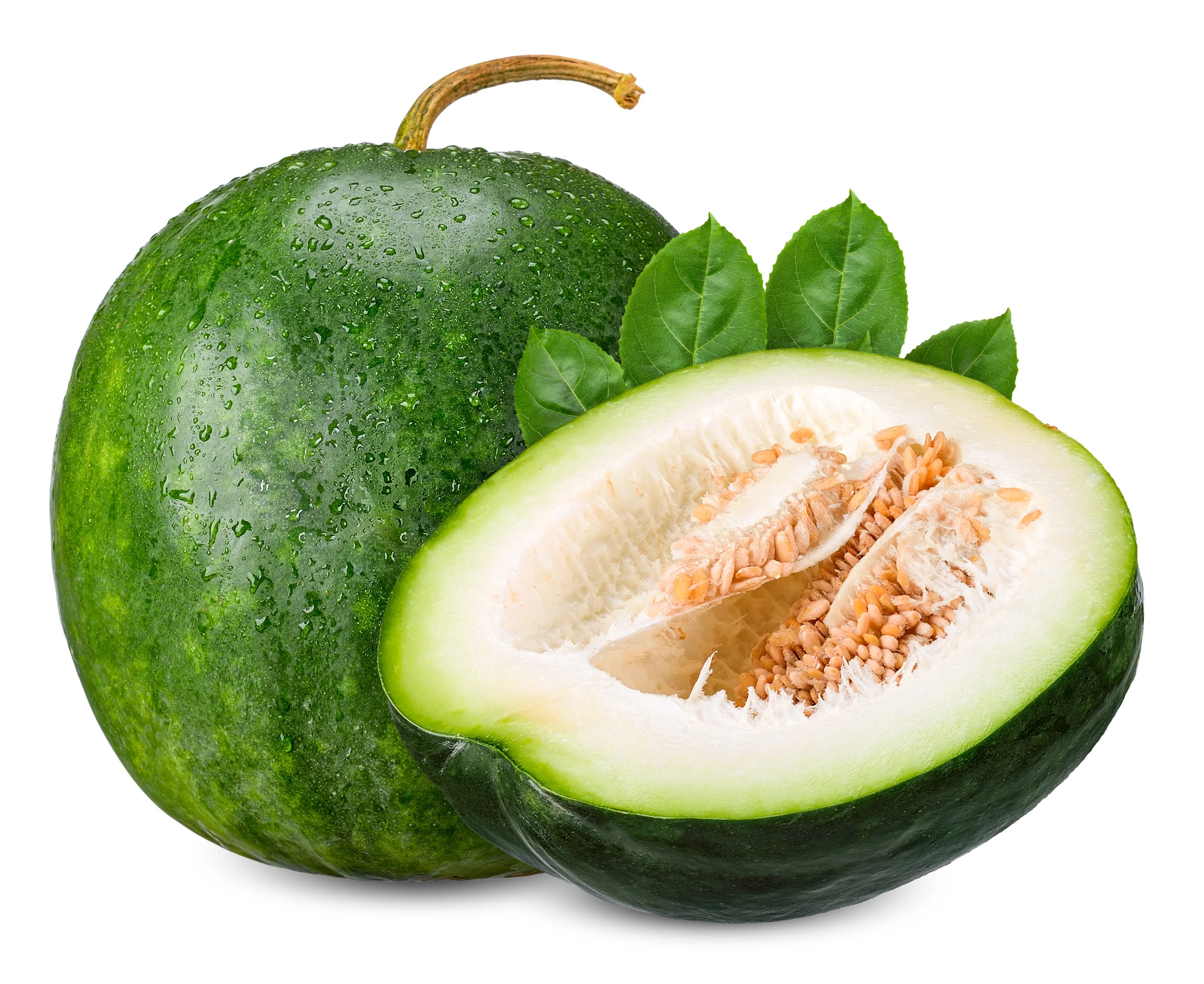 An image of winter melon