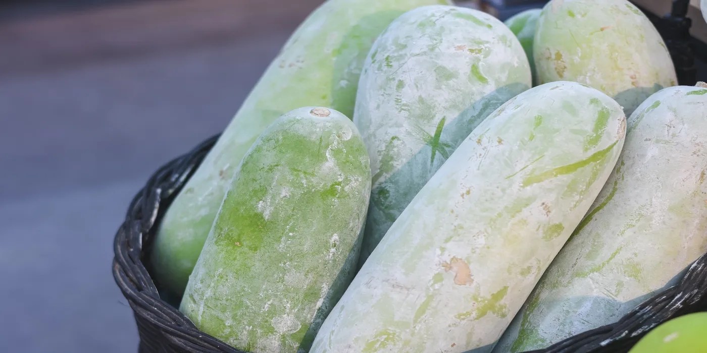 An image of winter melons