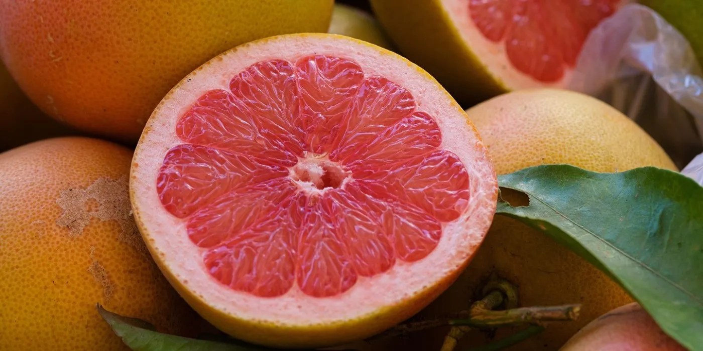 Grapefruit sliced open