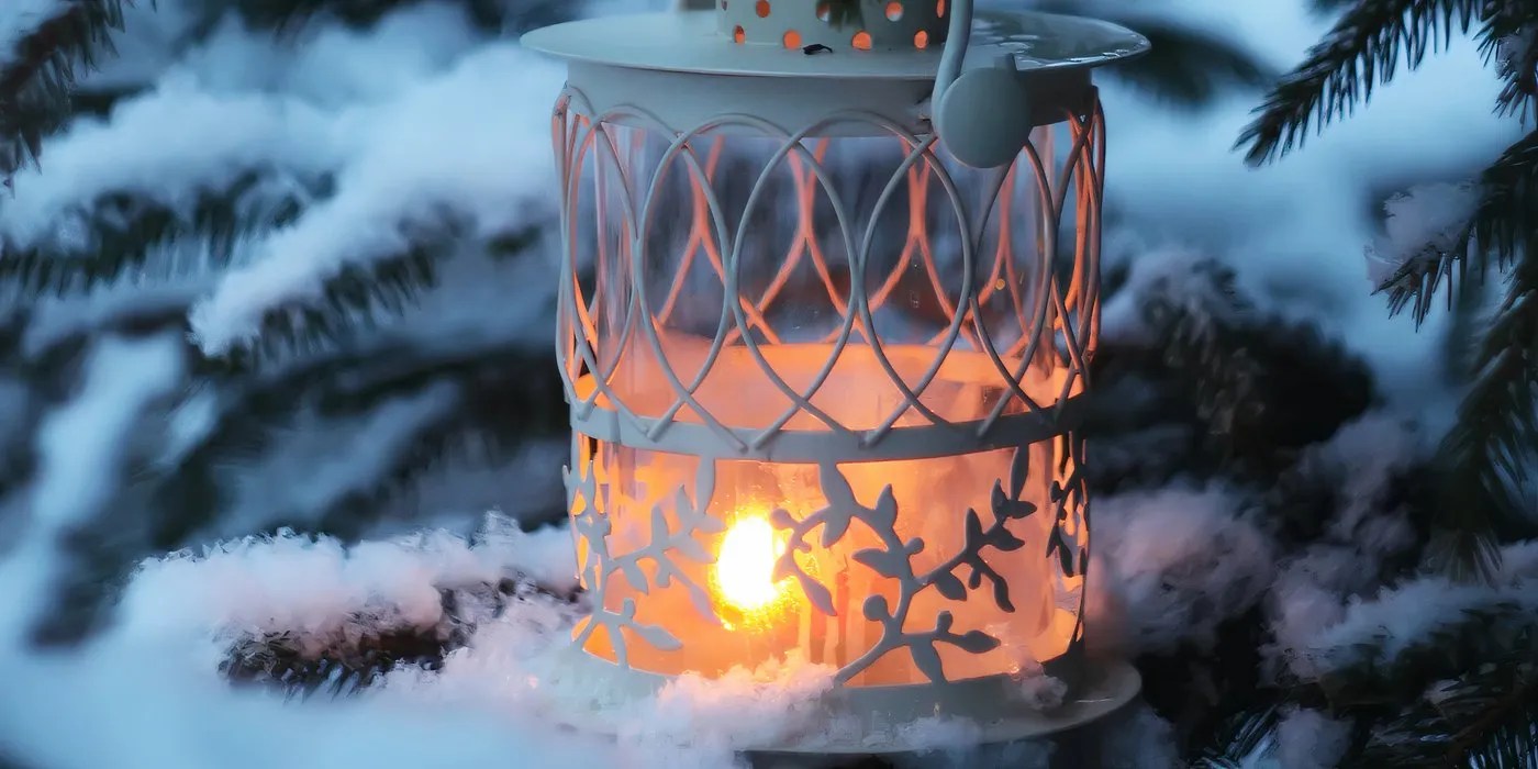 Lantern in a tree