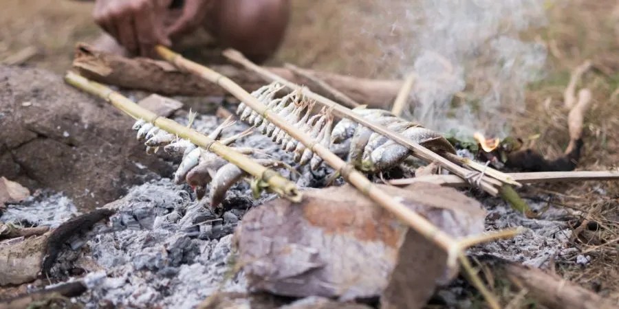 Small fish on sticks grilling above a campfire.