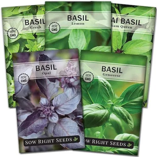Basil Seed Collection - $$title$$