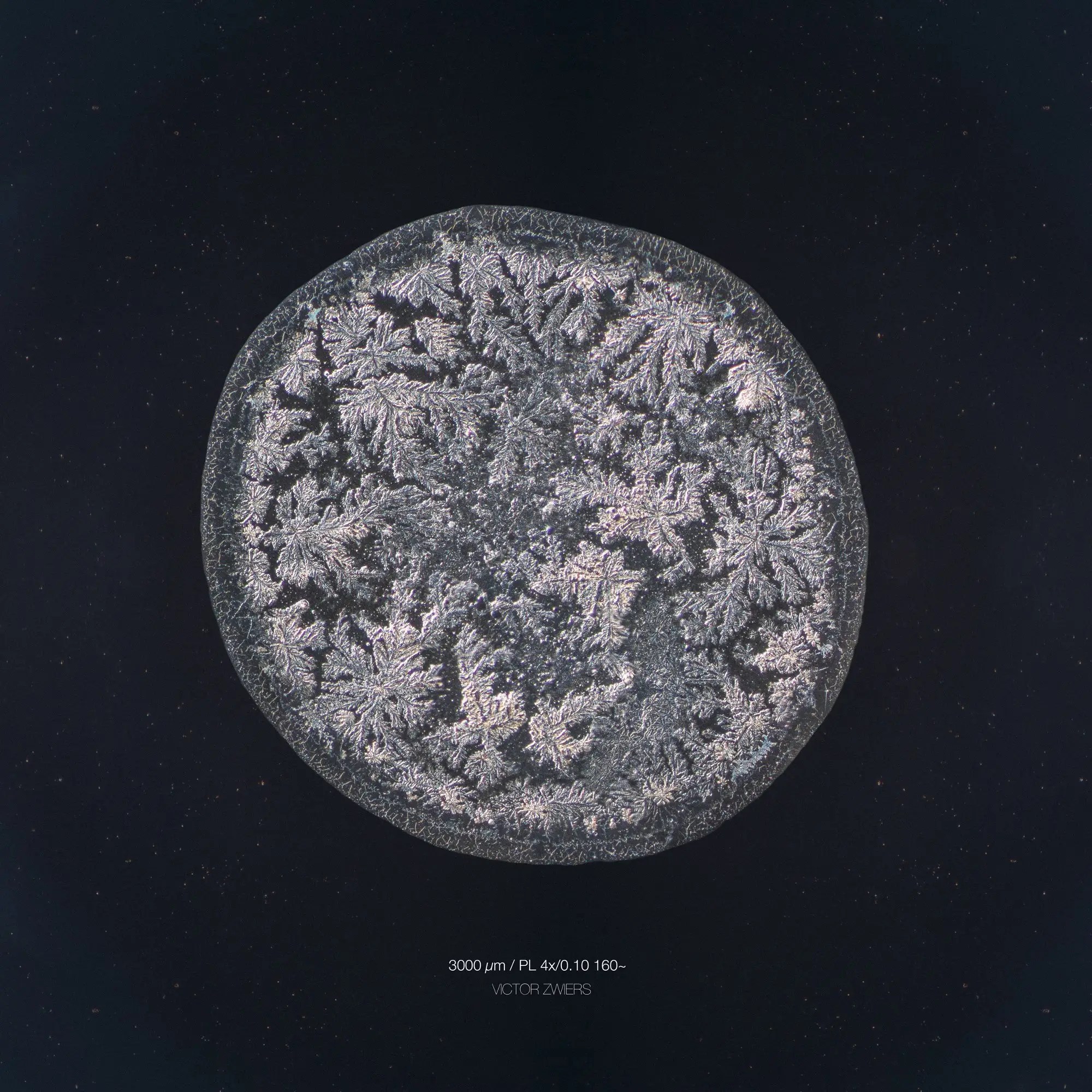 What tears look like under a microscope Business Insider