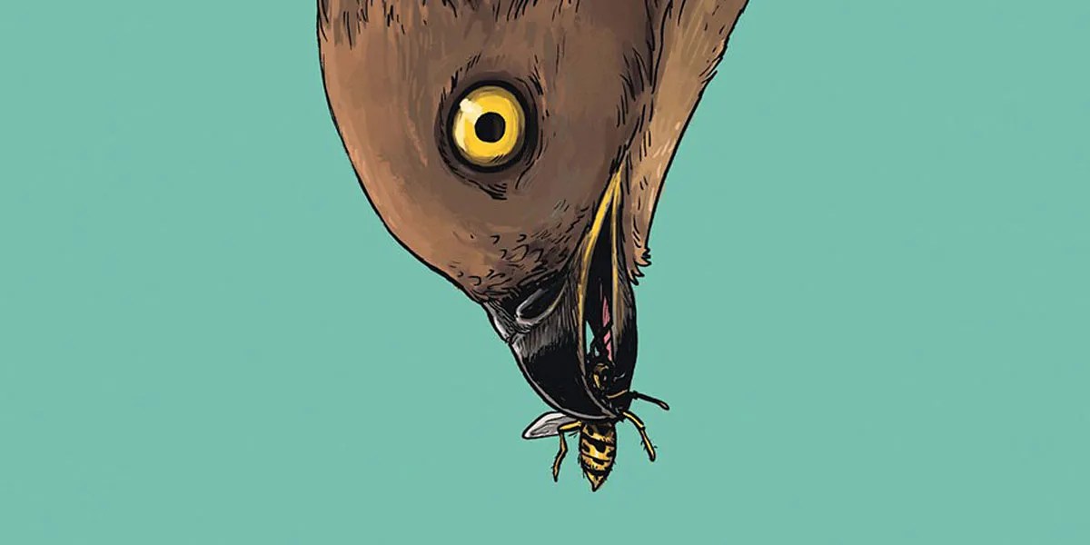 The Return of the Honey Buzzard by Aimee De Jongh Publishers.