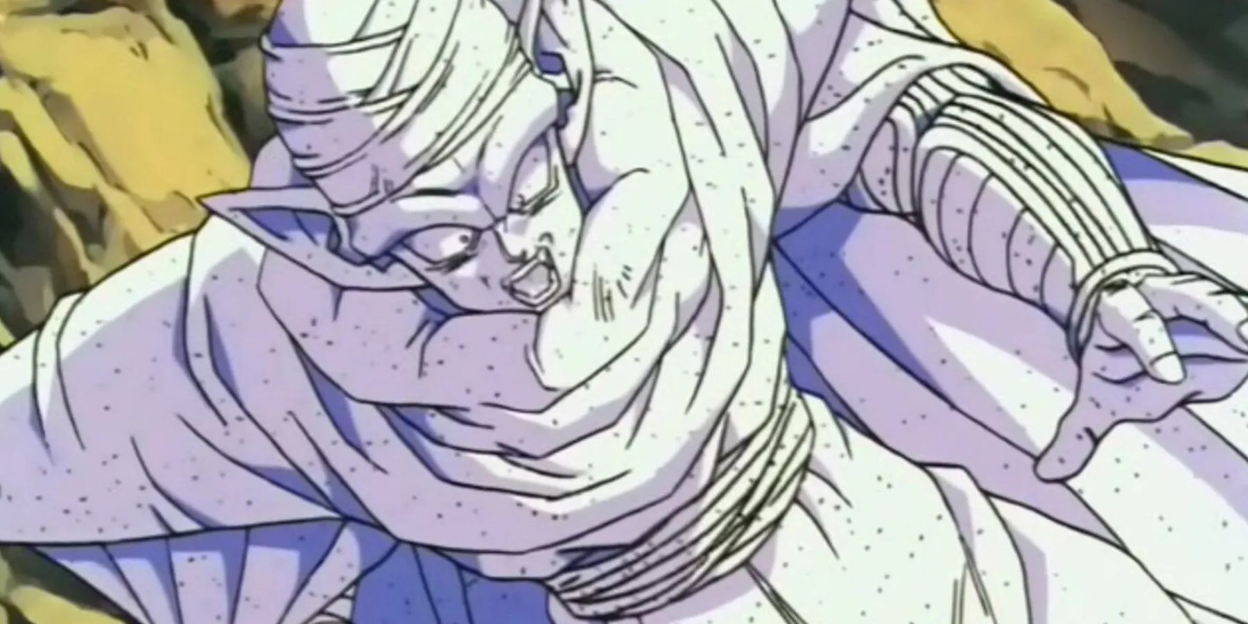 The PiccoloDown 15 Weird Facts About Piccolo's Body