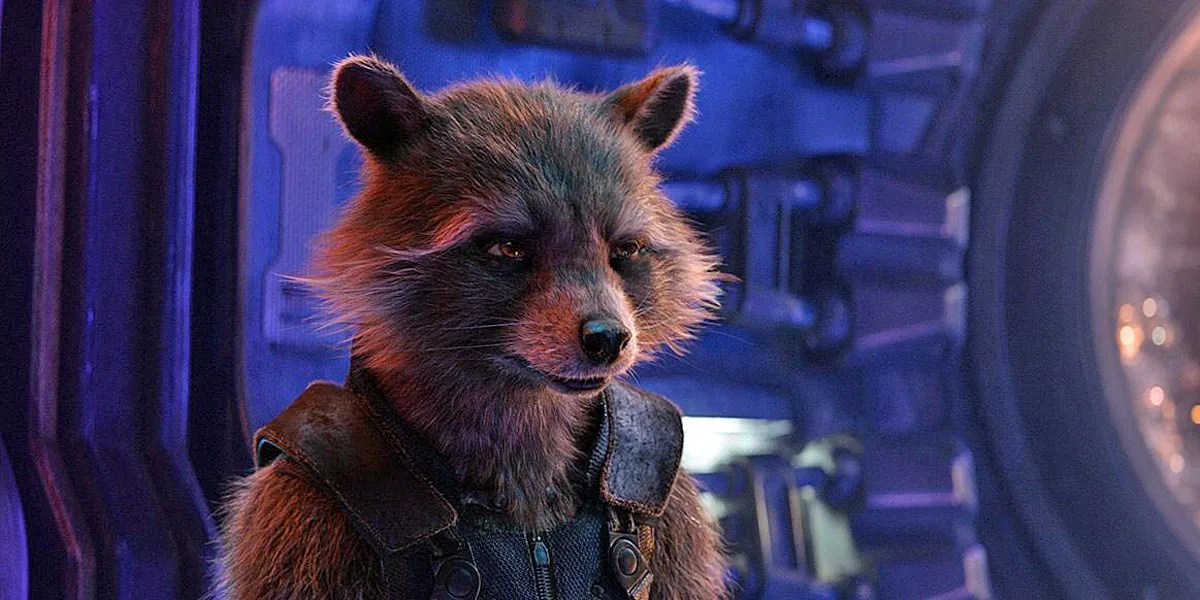 Rocket Raccoon Actor / 'Avengers Endgame' Spoilers Rocket Raccoon