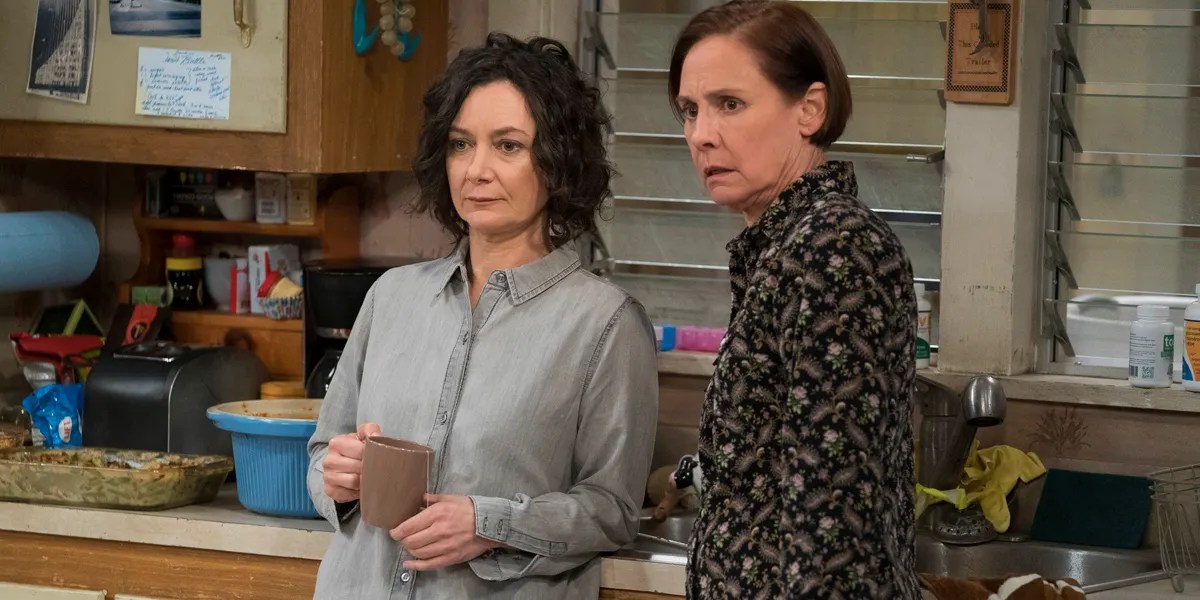 Big Bang Theory Why Leslie Winkle Left