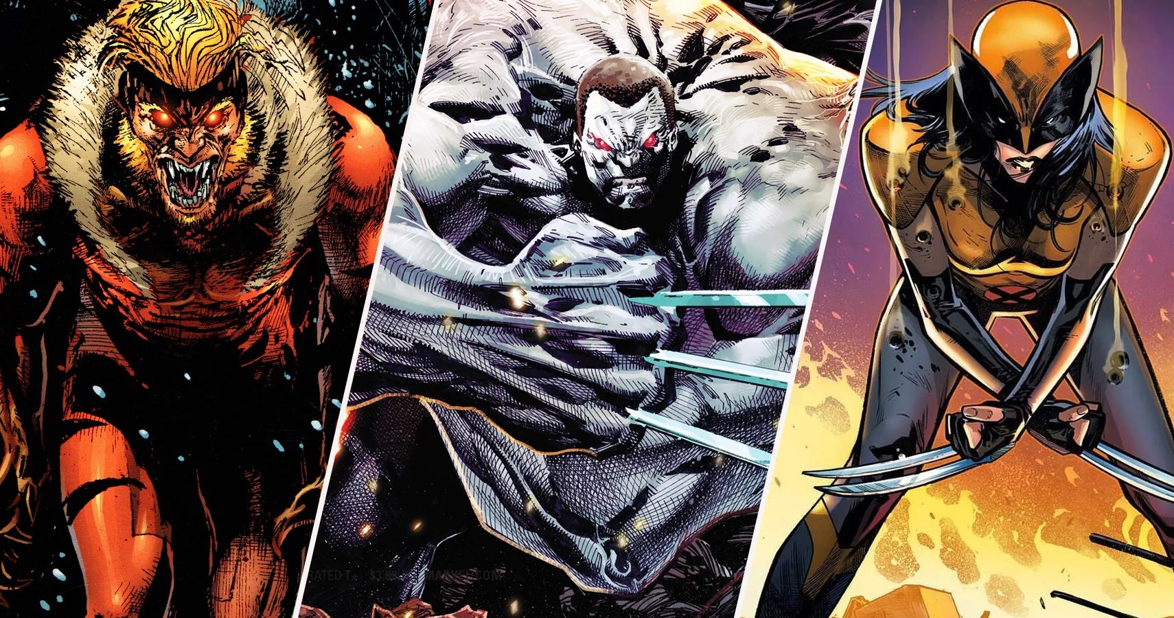 Weapon X The Program's Biggest Successes (And Its Biggest Missteps)