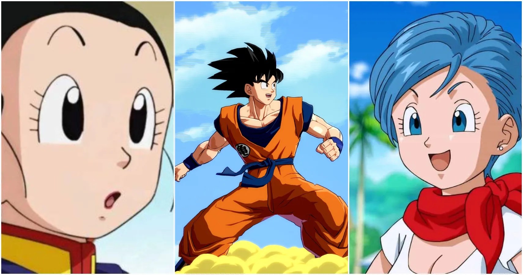 Dragon Ball 5 Reasons Goku Should Have Married Bulma (& 5 Why ChiChi Was The RIght Choice)