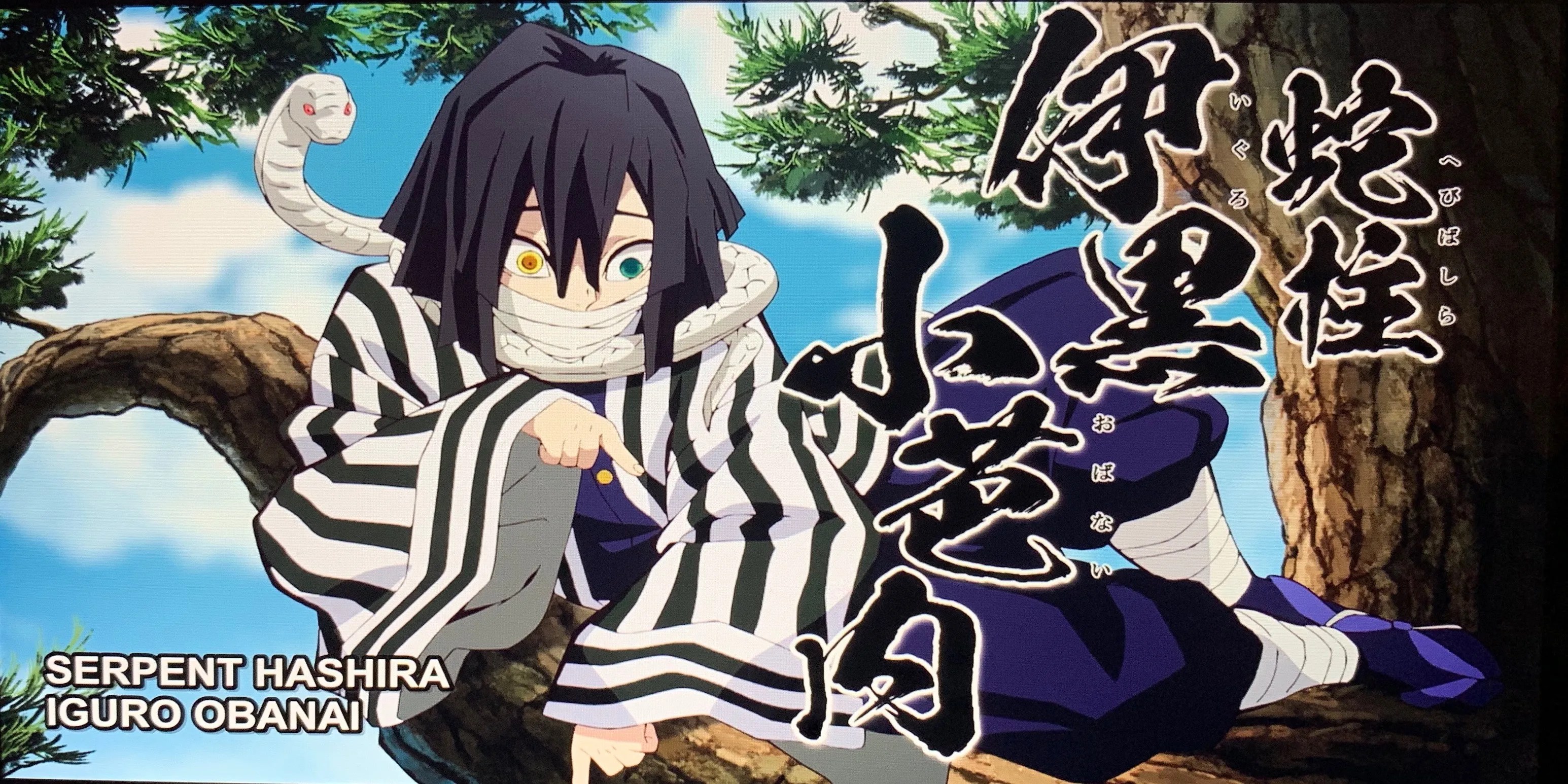 Demon Slayer The Most Powerful Pillars Ranked